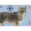 Birchwood Casey Pregame 16.5x24 Coyote Reactive Target 3 Pack