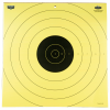 Birchwood Casey Dirty Bird 100yd Rifle 5-17.75. .
