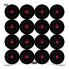 Birchwood Casey Dirty Bird Round Bullseye Target 192-3. .