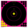 Birchwood Casey Shoot-N-C Round Bullseye Target 5-12" P. .