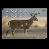 Allen Ez Aim, Allen 15286 Ezaim Paper 4 Color 25x35 Whitetail 2