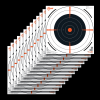 Allen Ez Aim, Allen 15334 Ezaim Paper 12in Bullseye 12 Pk