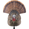 Avian X Lcd Strutter Decoy -