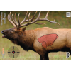 Birchwood Casey Target Pregame 16.5"x24" - Elk Target 3-targets. .