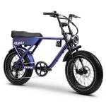 RHINO Electric Fat Bike - ZuGo Bike