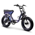 RHINO Step-Thru Fat Bike - ZuGo Bike
