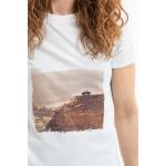 graphic-tee-canyon-print