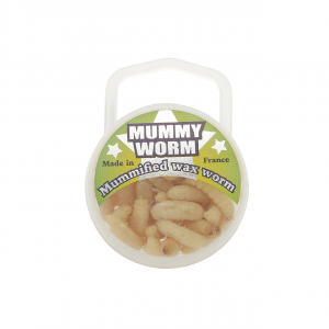 Eurotackle Mummy Worm Jarred Bait | Natural