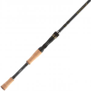 Shimano Intenza Glass Casting Rod | NTZC710HGA