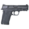 Smith & Wesson M&P 380 Shield EZ .380 MTS
