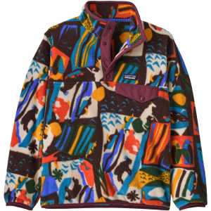 Patagonia Synchilla