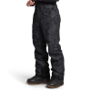 The North Face Freedom Pants 2021