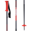 Kid's K2 Decoy Ski PolesLittle