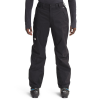 The North Face Freedom Pants Men's