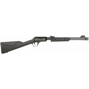 Gallery Engraved 18" 15 Round 22 Long Rifle Pump Action Rifle