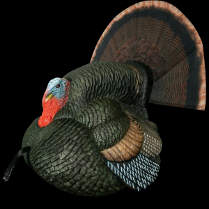 Lil Gobblestopper Strutter Box Turkey Call