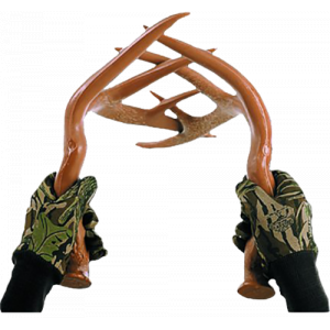 Fighting Horns Rattler Deer Call