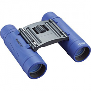 Essentials 10x 25mm Binocular - Blue