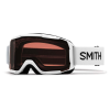 Smith Phase Goggle 2011-2012 by Smith